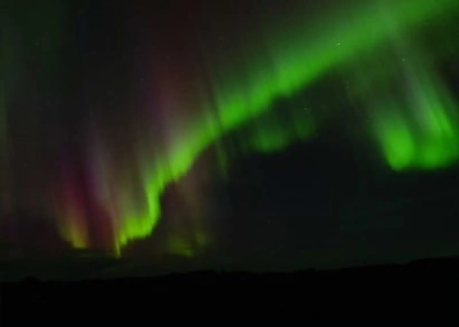 Green and magenta aurora borealis dancing above pine trees Ruka Finland