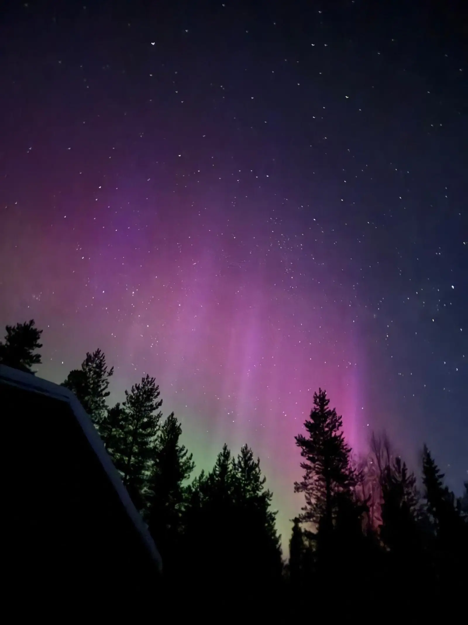 Purple pink aurora borealis illuminating Finnish Lapland night sky