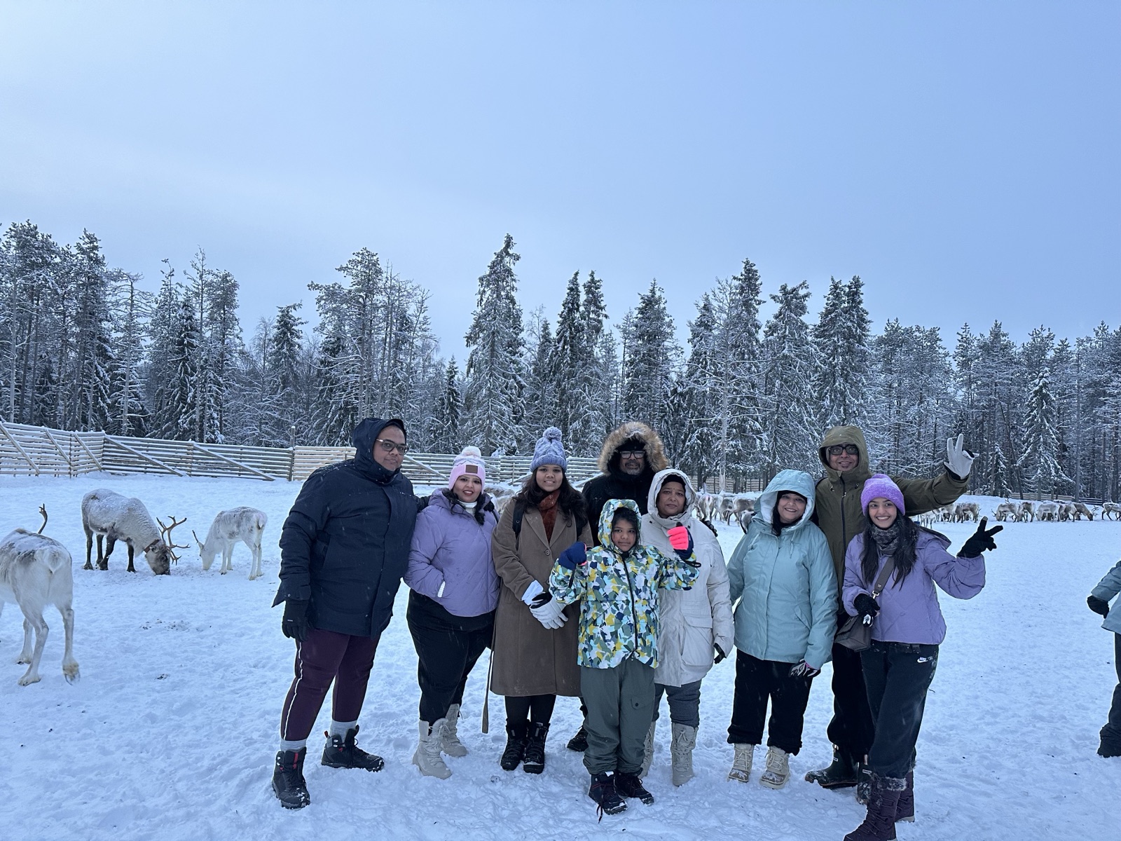 Reindeer safari on a snowy forest trail in Ruka, Finland