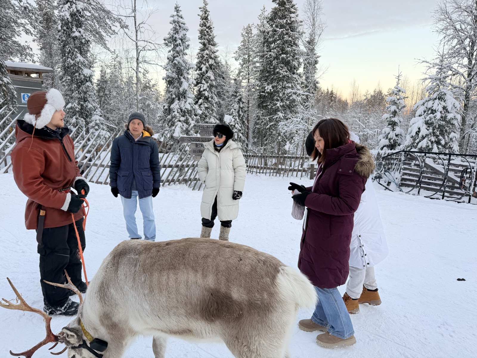 Do You Need a Tour to See the Northern Lights in Ruka?
