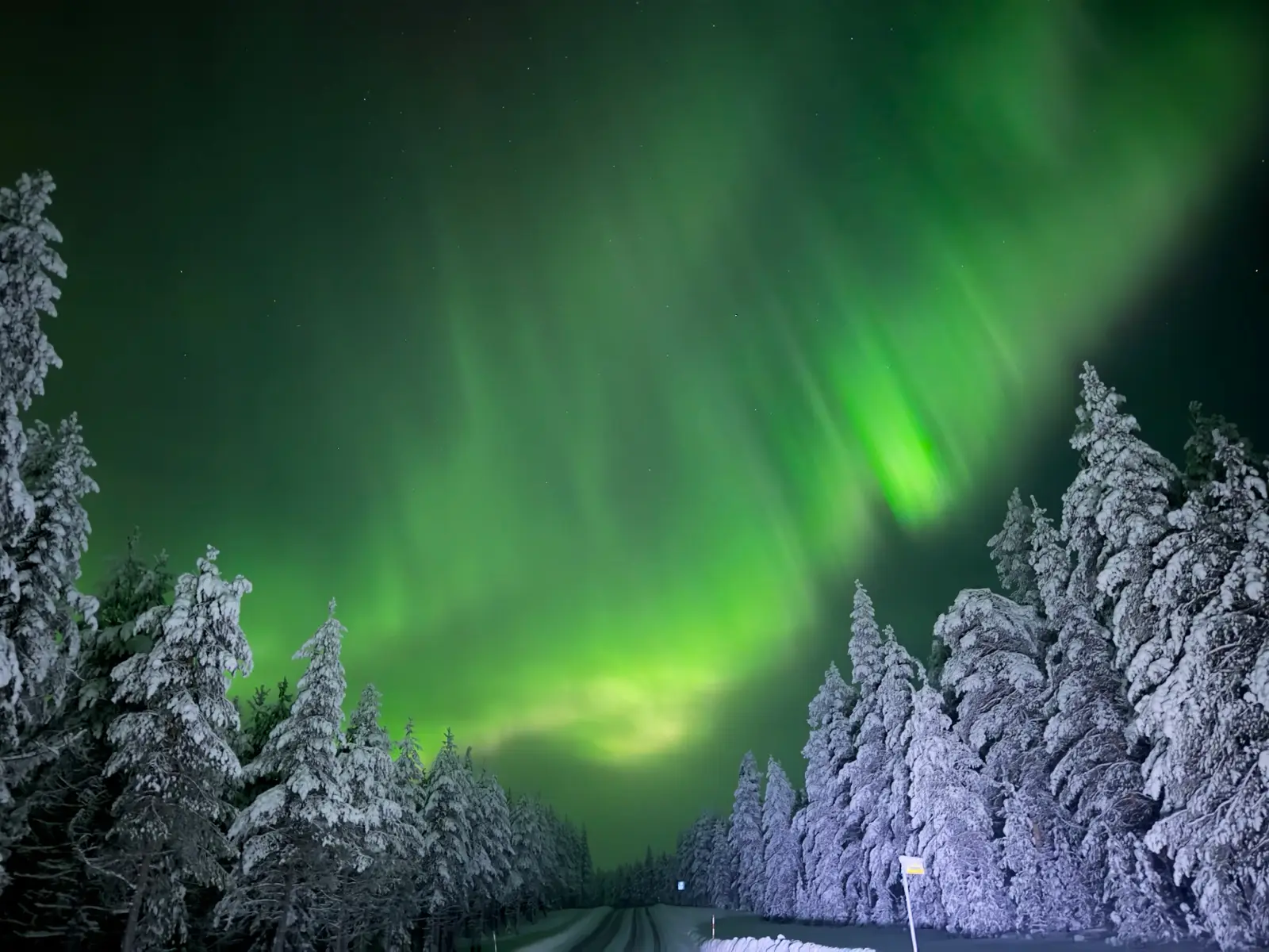 Northern Lights Hunting Tour Ruka Finland